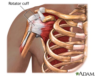 Normal anatomy