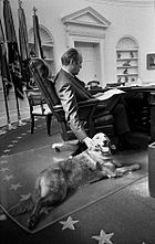 A man is shown from behind, seated in a leather chair at an ornate wooden desk in the Oval Office. His right hand is reaching to the floor to pet a large golden retriever laying at his feet.