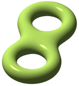 Double torus illustration.png