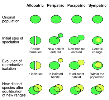 File:Speciation modes edit.svg