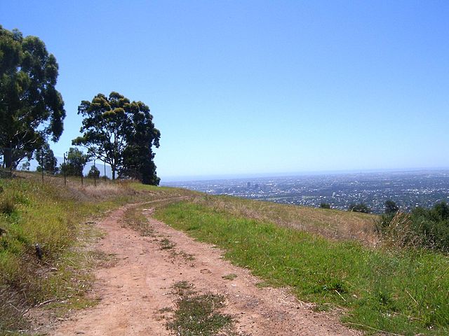File:Walktrack.JPG
