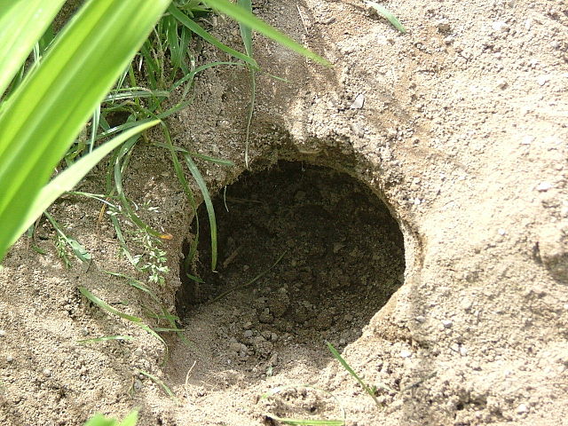 File:Eihöhle.jpg