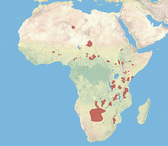 File:African Wild Dog Distrbution.jpg