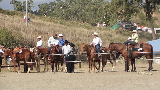 File:Foire chevaux.JPG