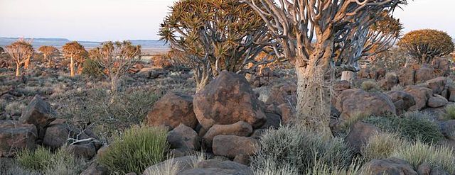 File:SAC Namibia-bushveld.jpg