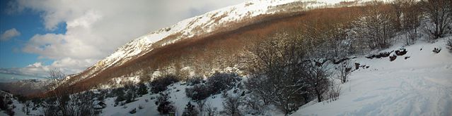 File:Galicica-viewfromKorita.JPG