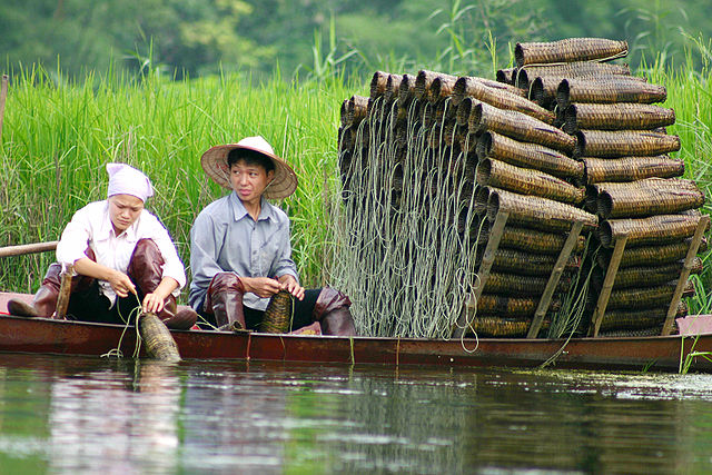 File:Đó.jpg