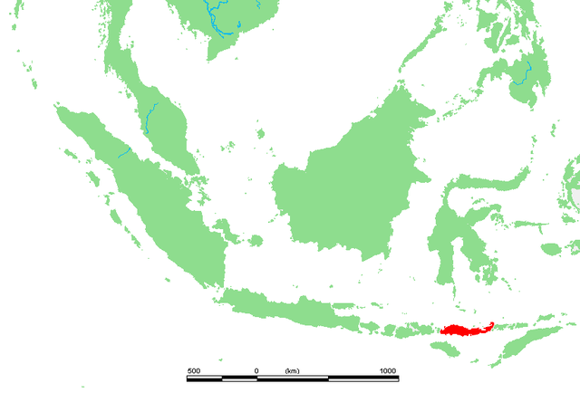 File:ID - Flores.PNG