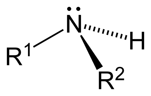 File:Secondary-amine-2D-general.png