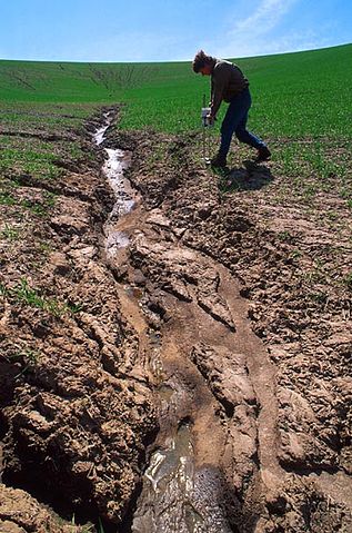 File:Erosion.jpg